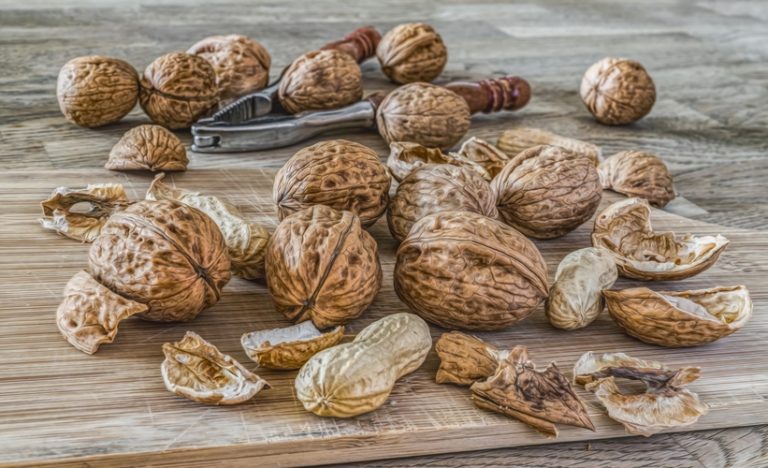Read more about the article Do Nuts Have to be Kosher?