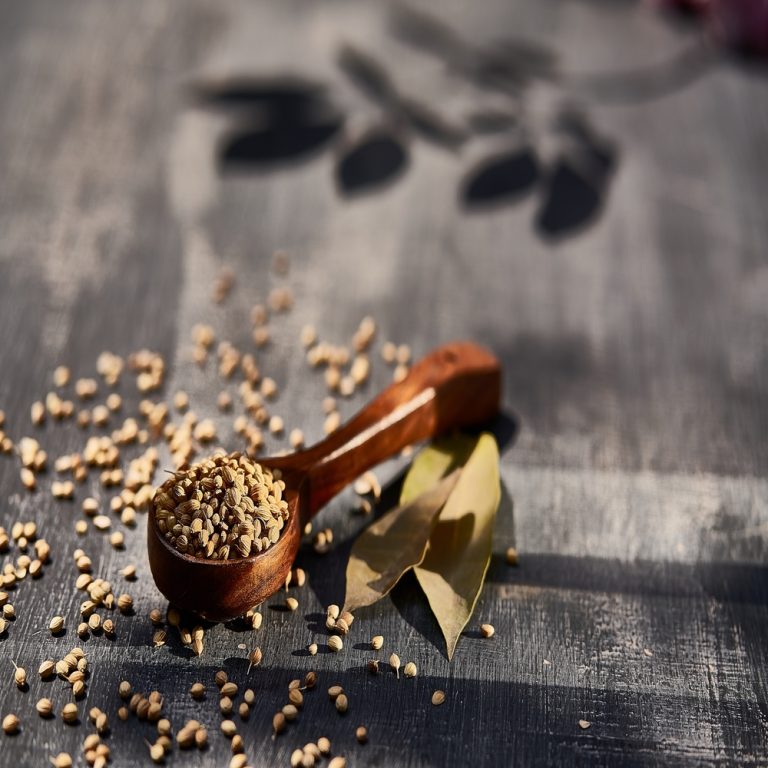 Read more about the article Where Do Seeds Come From?